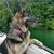 Diane Roy's profile image