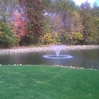 Suzette Gregory Krut's profile image