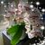 Adriana Gonzalez's profile image