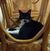Barry G. Schenck's profile image
