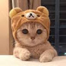 Shahla K.'s profile image