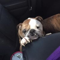 Michelle Popwell's profile image