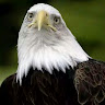 Matt M.'s profile image