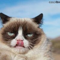 Sheila Sullivan's profile image
