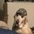 Shane Allman's profile image