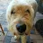 Justus Klinkhamer's profile image
