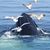 Christina Ketcham's profile image