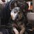 J J Sherrill Connolly's profile image