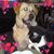 Priscilla Crawford's profile image