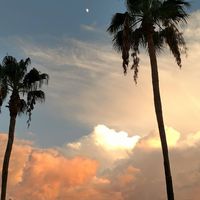 Kathleen Savage's profile image