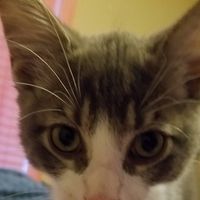 Barbra Waldare's profile image