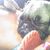Heather Marie Mooney's profile image