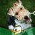 Irene Daugherty's Profile Image
