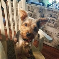 Clara Viera's profile image