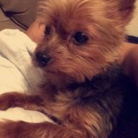 Elaine Militello Franklin's profile image