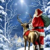 Nancy Child Dunn's profile image