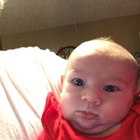 Terri Willis Williams's profile image
