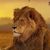 Amit Suri's profile image