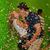 Deanna Maskley's profile image