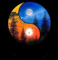 Karen Clark's profile image