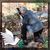 Phil-Marilyn Hedrick's profile image