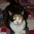 Cheryl Moore's profile image