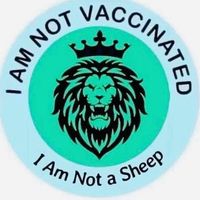 Sam Shepherd's profile image