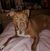 Doreen C Dimino's profile image