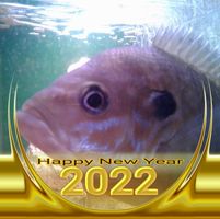 Paula K. Barger's profile image