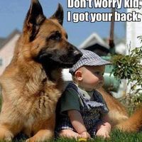 Diane DeLaura's profile image