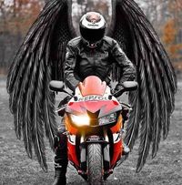 Scott Gilsdorf's profile image