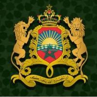 Adil Belbachir's profile image