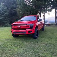 Luke Williams's profile image