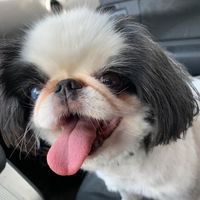 Jarrod Smith's profile image