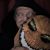 Ripper Moore's Profile Image