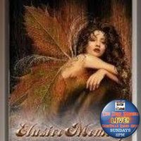 Lisa Michele Toland McBrearty's profile image