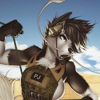 Aleksandra Katyenka's profile image