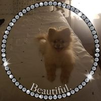 Nanci Morris's profile image