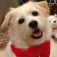 Inge Mueller Morse's profile image