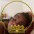 Latonya K Slone's profile image