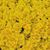 Vickie Hansgen Erwin's profile image