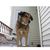 Nancy Durett's profile image