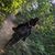 Tamara Simanic-Arthur's profile image
