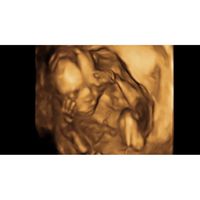 Jennifer Sarsfield's profile image