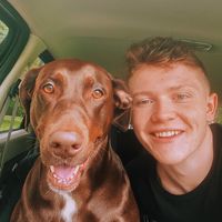 Zachary Stein's profile image