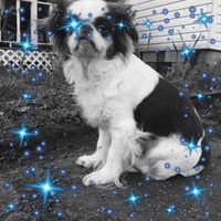 Carl Groomes's profile image
