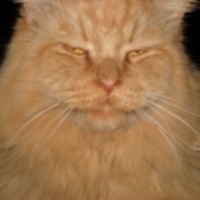 Julie Benjamin's profile image