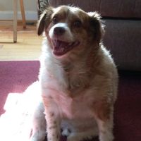 Jonathon Waterman's profile image