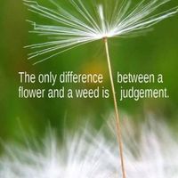 Cindy Conway's profile image