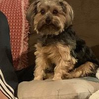 Becky Barbor's profile image